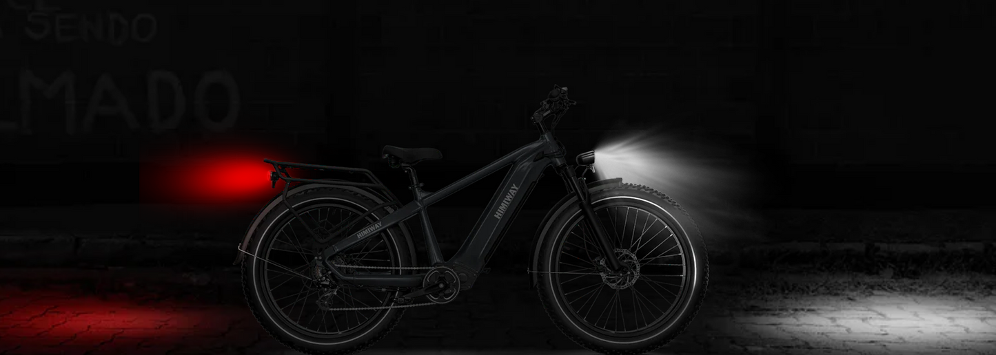 Premium All-terrain Electric Fat Bike Zebra/D5