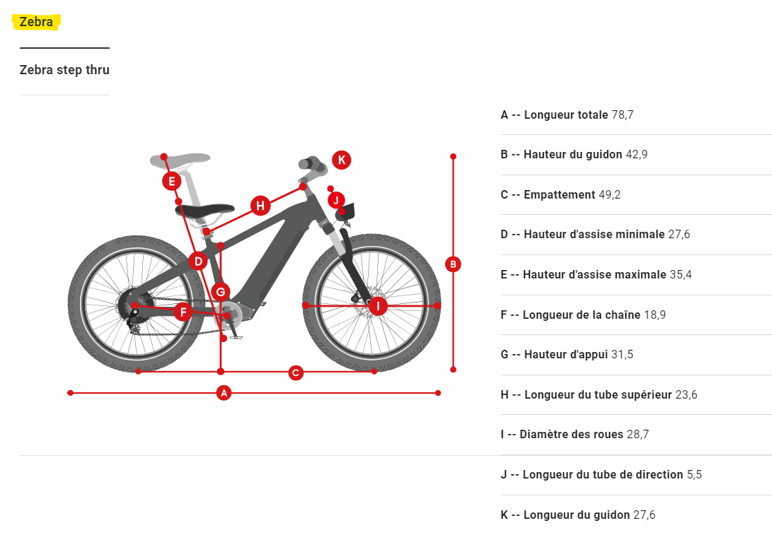 Premium All-terrain Electric Fat Bike Zebra/D5