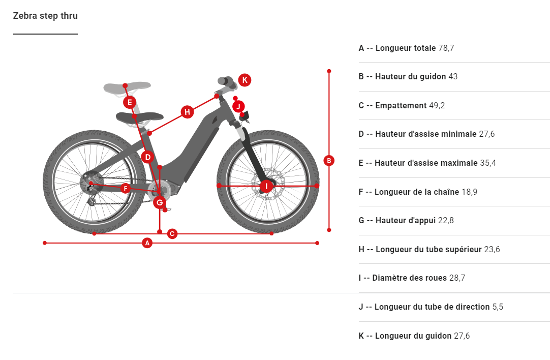 Premium All-terrain Electric Fat Bike Zebra/D5