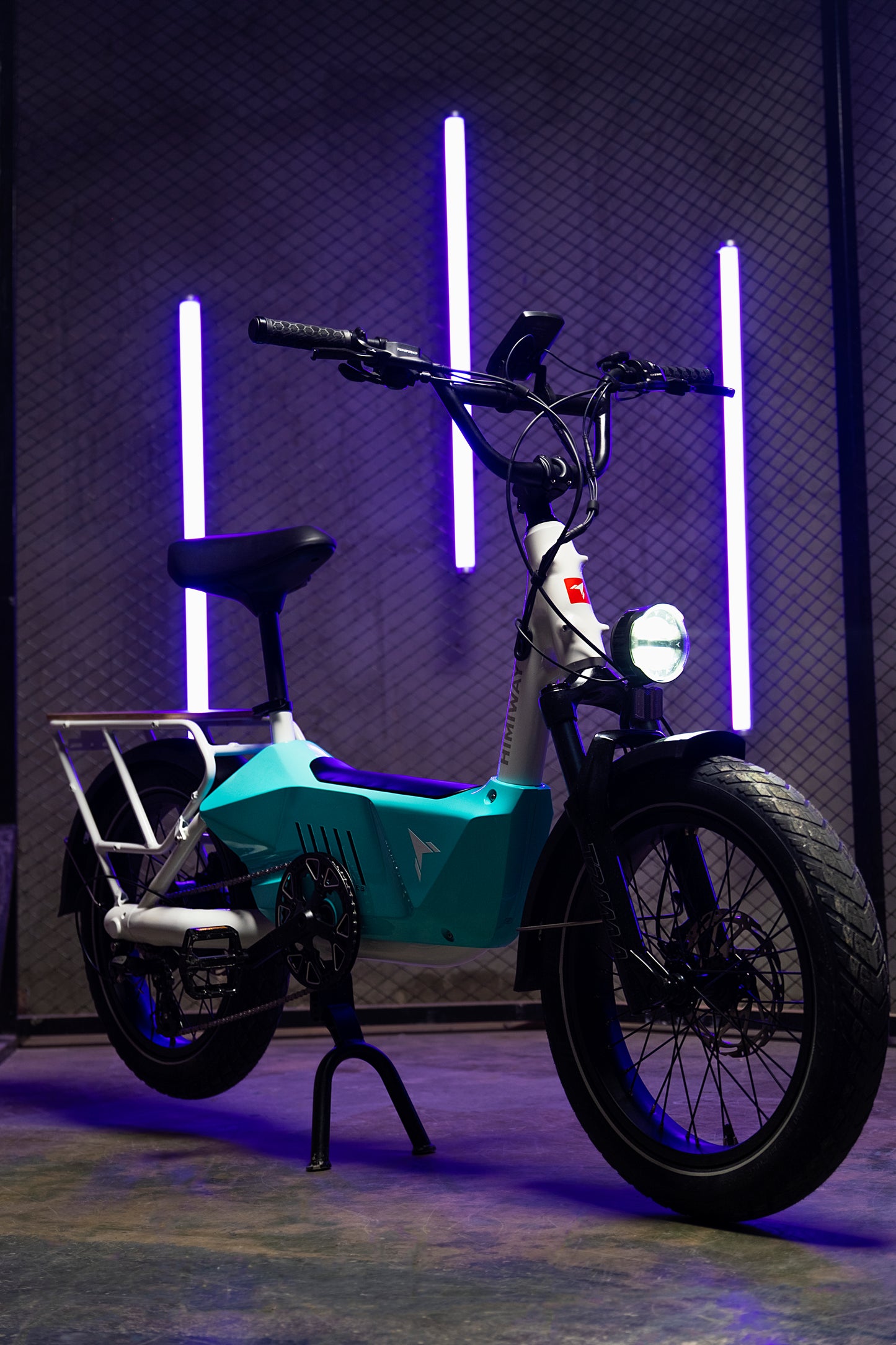 Cargo Ebike C3