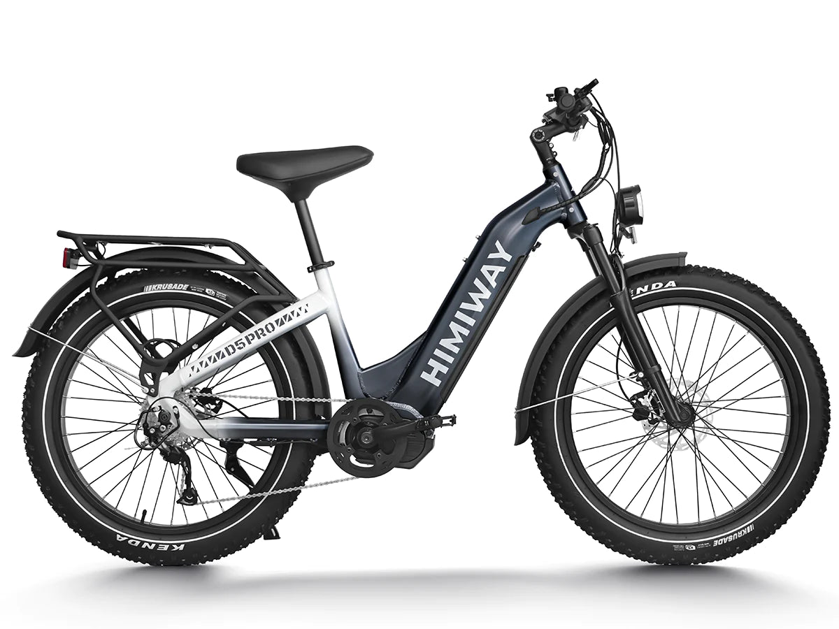 Premium All-terrain Electric Fat Bike Zebra/D5