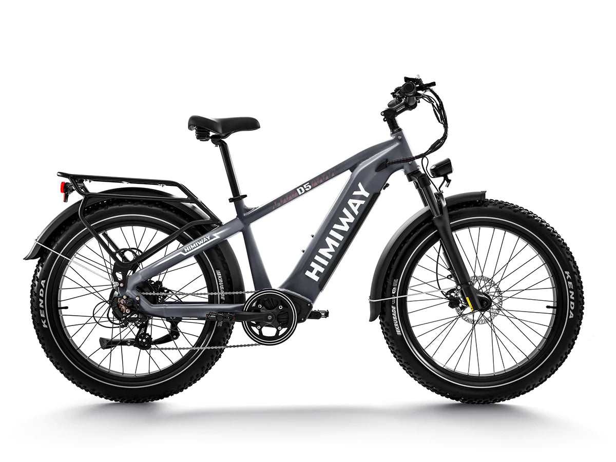 Premium All-terrain Electric Fat Bike Zebra/D5