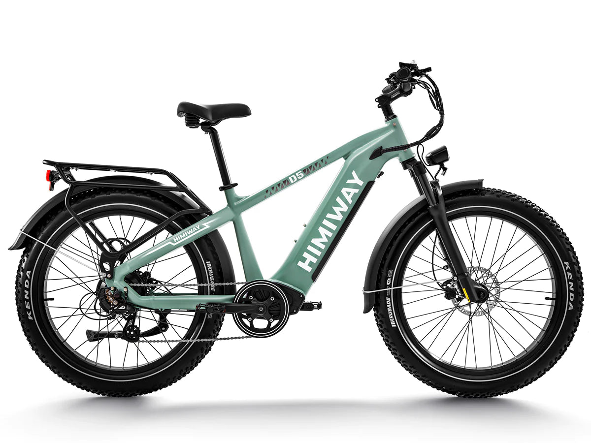 Premium All-terrain Electric Fat Bike Zebra/D5