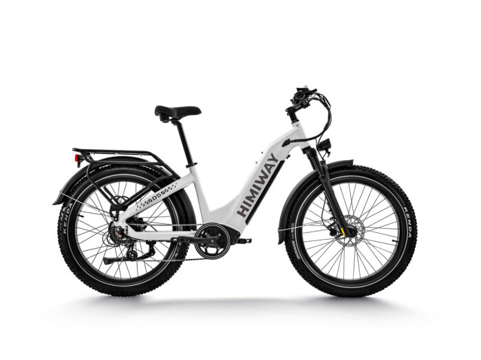 Himiway D5 ST (Zebra ST) | Premium All-terrain Electric Fat Bike