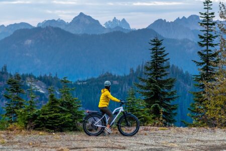 Himiway - CRUISER - D3 – Image 4
