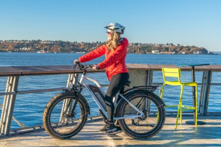 Himiway - CRUISER - D3 – Image 2