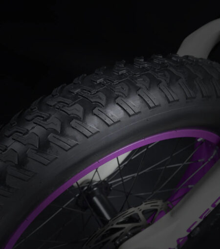 Macfox E-bike X1S x Bs.zay – Image 4
