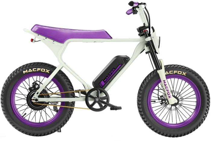 Macfox E-bike X1S x Bs.zay