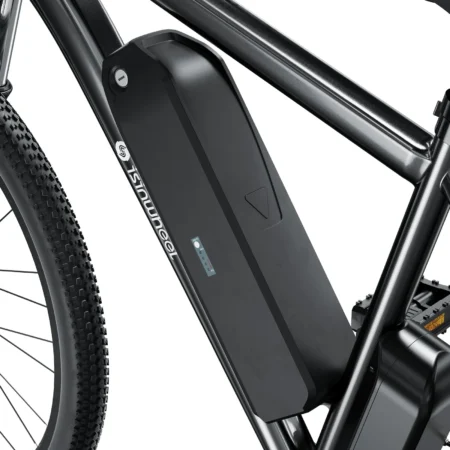 iSinwheel M10 – Image 5